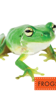Frogs (Spot Backyard Animals) - Marysa Storm - English