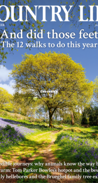 Country Life UK - 01.08.2025 - English