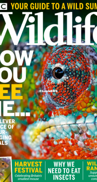 BBC Wildlife 2021 09 - English