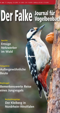 Der Falke – 06.2024 - German