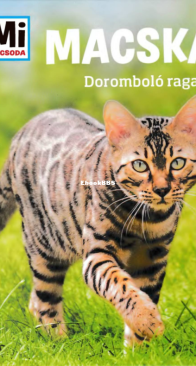 Macskák - Mi micsoda - Aurahs Jutta - Hungarian