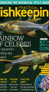 Practical Fishkeeping Magazine - 2020-11 - English
