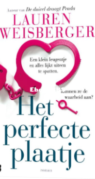 Het Perfecte Plaatje - Lauren Weisberger - Dutch