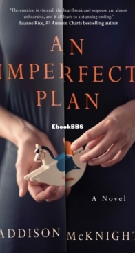 An Imperfect Plan - Addison McKnight - English
