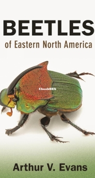 Beetles of Eastern North America - Arthur V. Evans - English