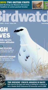 Birdwatch UK - Issue 378 - 12.2023 - English