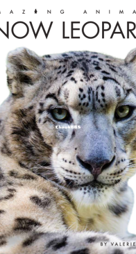 Snow Leopards  - Amazing Animals -Valerie Bodden - English