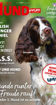 Der Hund - 04.2024 - German