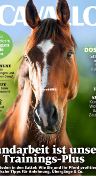Cavallo - 04.2024 - German