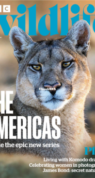 BBC Wildlife 2025 Spring - English