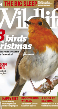 BBC Wildlife 2019 13 - English