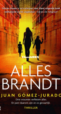 Alles Brandt - Juan Gómez-Jurado - Dutch