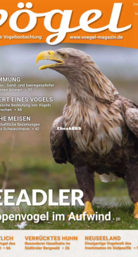 Vögel - Issue 60 – 1.2021 - German