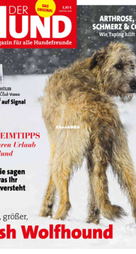 Der Hund - 03.2020 - German
