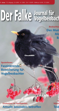 Der Falke – 01.2025 - German