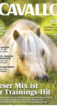 Cavallo - 10.2023 - German