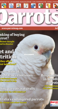 Parrots - Issue 318 - 07.2024 - English
