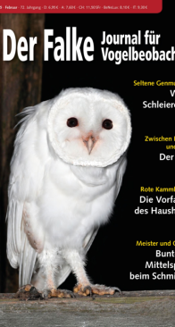 Der Falke – 02.2025 - German