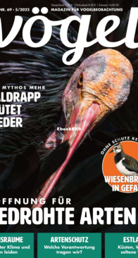 Vögel - Issue 69 – 5.2022 - German