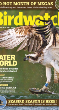 Birdwatch UK - Issue 398 - 08.2025 - English