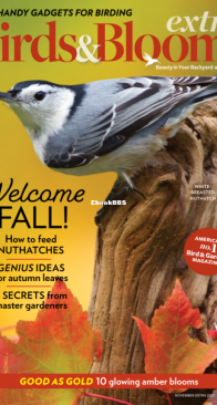 Birds and Blooms Extra - 11.2022 - English