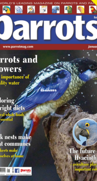 Parrots - Issue 300 - 01.2023 - English