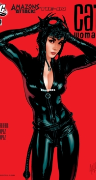 Catwoman Vol 3. 70 (of 83) - DC Comics 2007 - English