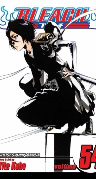 Bleach Colored 54 (of 74) - Viz 2013 - Tite Kubo - English