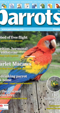 Parrots - Issue 309 - 10.2023 - English