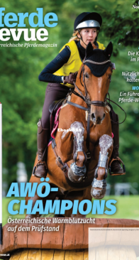 Pferderevue 11.2021 - German