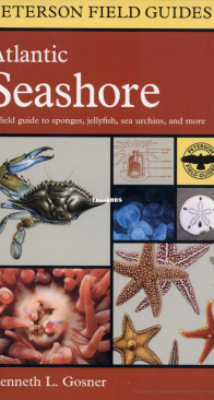 A Field Guide to the Atlantic Seashore - Peterson Field Guides - English